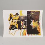 1711 3008 Grafiskt blad